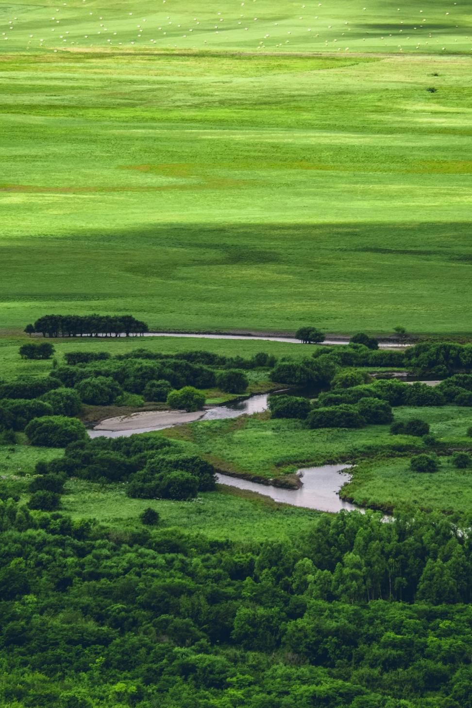 Environmental Assessment