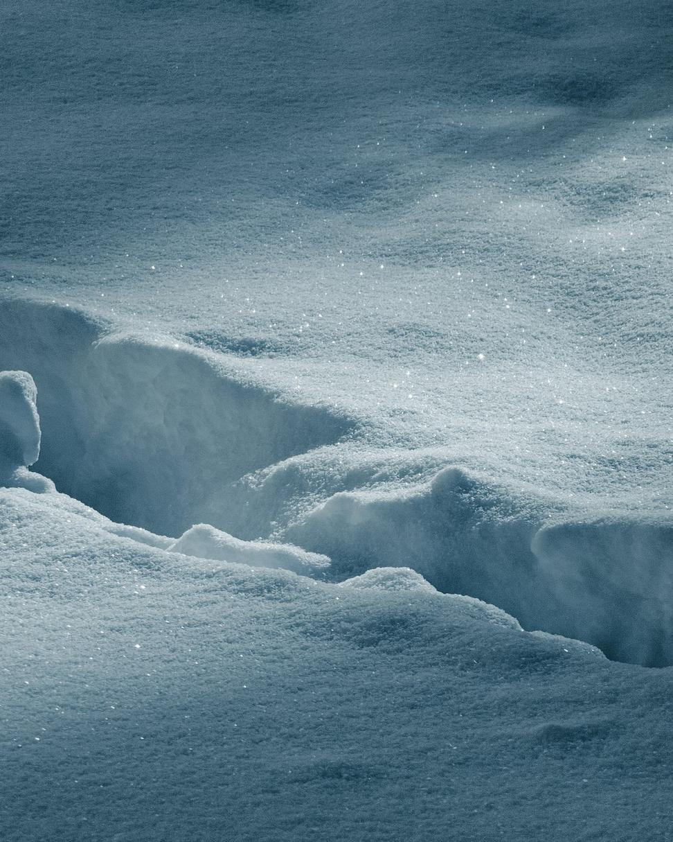 Arctic Architecture Detail